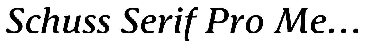 Schuss Serif Pro Medium Italic